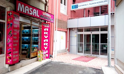 Masal Akvaryum