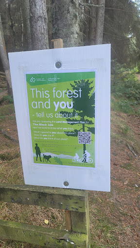Culbokie Forest - Thumbnail