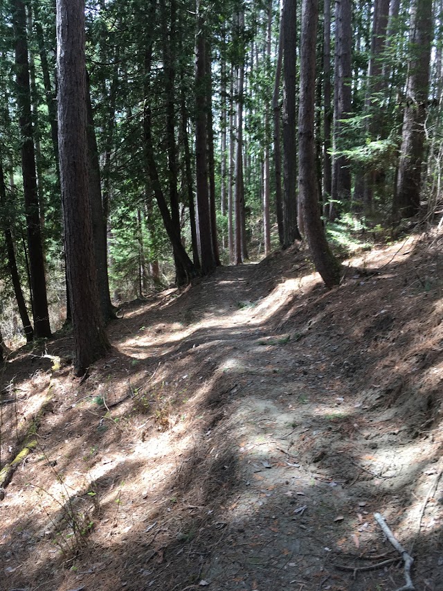 Parc national d'Opémican