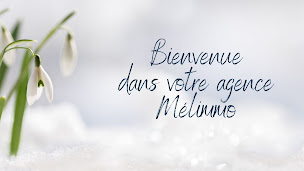 Photo n°7 de Mélimmo agence immobilière à Toucy à Toucy (Agence immobilière)