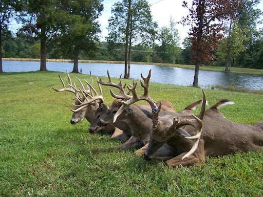 Samson’s Ridge, LLC - Illinois Deer Hunting - Thumbnail