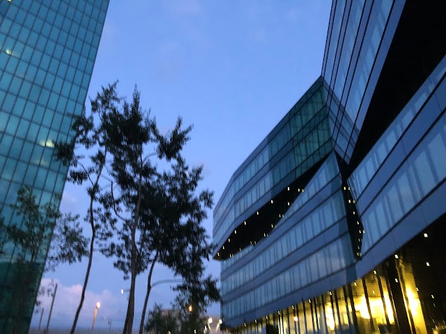 Konzertsaal Tonhalle Maag