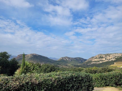 Le Bartavin - Visual