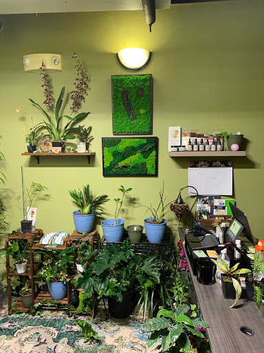GreenHouse Balance - Thumbnail