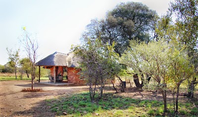Photos of Ngiri Safaris and Scuba