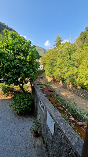 Casa Natale Giosuè Carducci - Thumbnail
