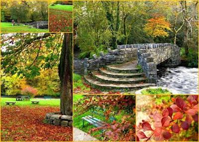 Photos of Oughterard Shrubbery