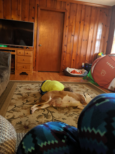 Bertie County Humane Society - Thumbnail