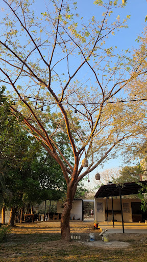 Quinta La Parota - Thumbnail