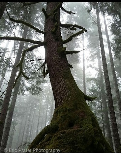 Alsea falls campground