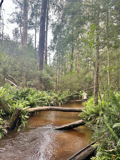 Kurth kiln Scout Loop - Thumbnail