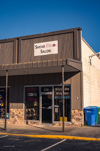 Shear Chaos Salon Gallery - United States