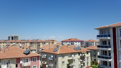 Photos of Eti Park