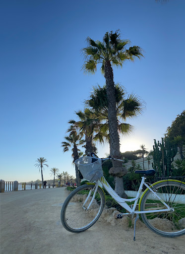 FaroBikes - Visual