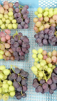 季節のぶどう収穫体験/王さまのぶどう旅行村農園/グリーンツーリズム体験