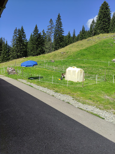 Alpe Hörnle - Thumbnail