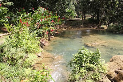 Photos of YS Falls