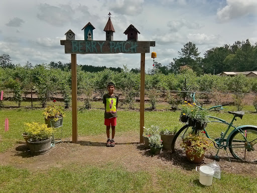 Brown's Berry Farm - Thumbnail