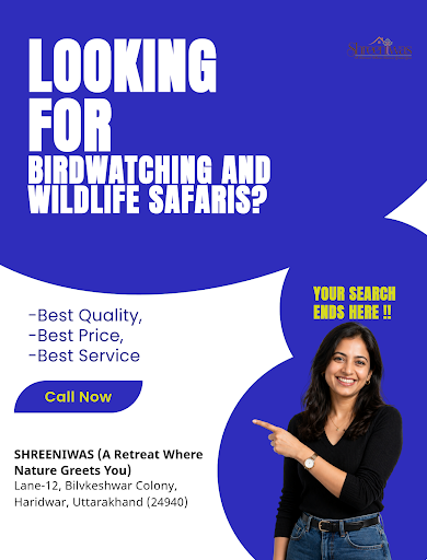 Birdwatching and Wildlife Safaris post image