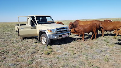 Photos of Serengeti Motors