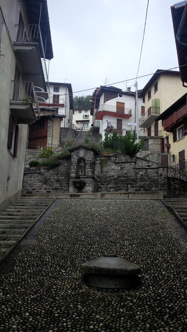 Pigra