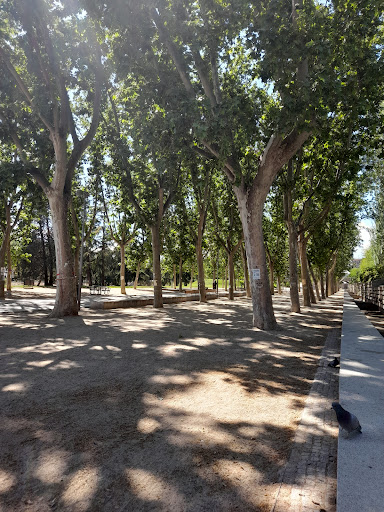 Arboleda histórica del Parque de la Arganzuela