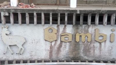 Photos of Bambi Cinema Hall