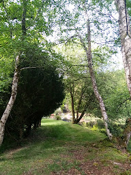 Photo n°3 de Cabinet du lac - Solenn Martin à Bubry (Médium)