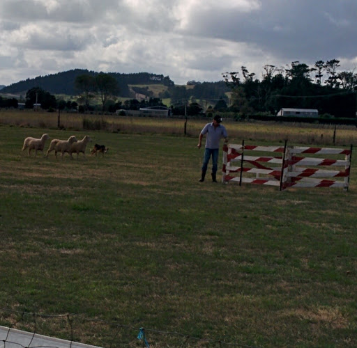 Northland Field Days Gallery - New Zealand