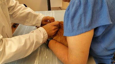 veterinary-care