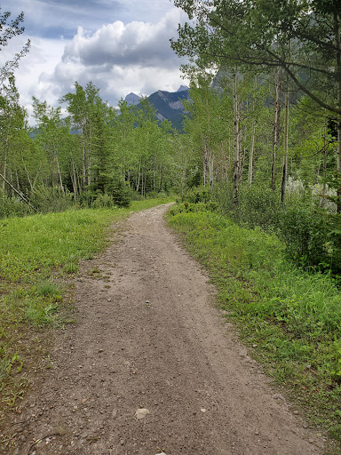 Rundleview Park - Visual