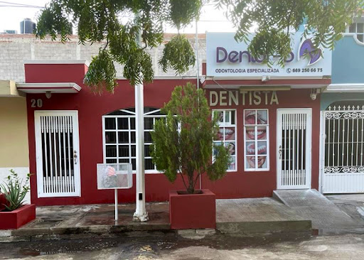 Dental B - Visual