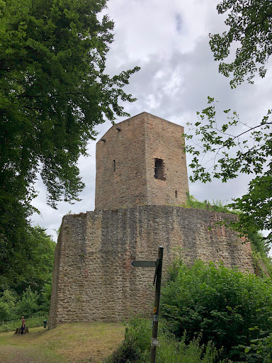 Old Wolfstein Castle Logo