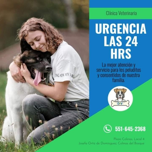 Diagnóstico Integral Veterinario DIV - Thumbnail