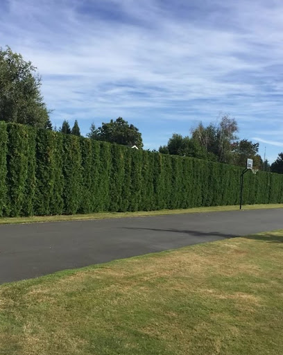 Landscaping article image