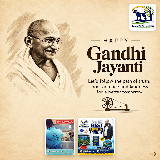 Celebrating Gandhi Jayanti 2026, Bhola Pet's Hospital honors values of care, gratitude, and respe… post image