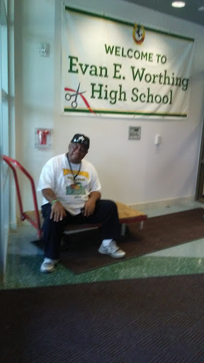 Worthing High School - Visual