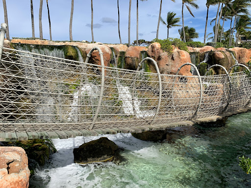 Predator Lagoon - Visual