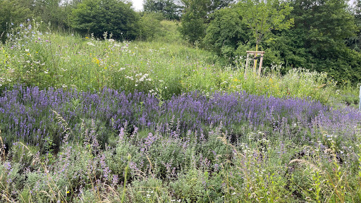 Bienenpavillon - Visual