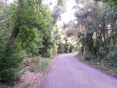 Photos of Whiting Campground