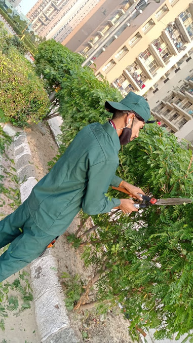 Af1qipnhzrao6cibgfjamisugdoox7grdkgmcmj0cihb=s677 K No