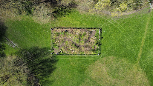 Tiny Forest Goldthorpe - Thumbnail
