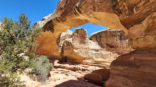 Delicate Arch - Visual