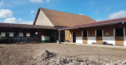Photo de Ferme de la Prairie à Portieux (88330)