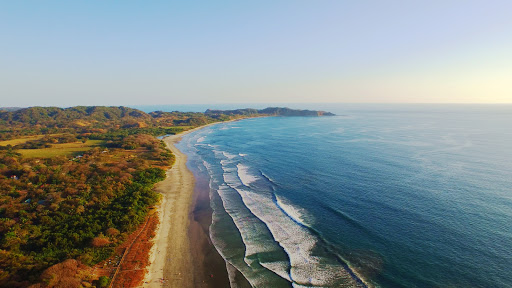 Corky Carroll's Surf School