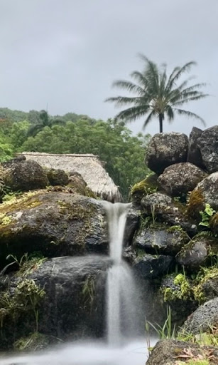 Kauai Eden Tours Gallery - United States