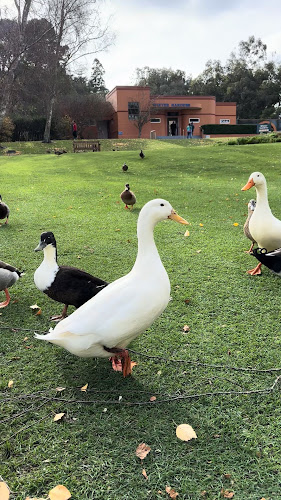 Virginia Lake Reserve, 110 Great North Road, St Johns Hill, Whanganui 4500, New Zealand