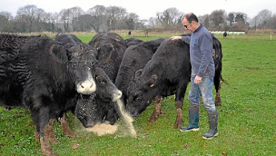 Photo n°3 de La Ferme De Kérautret à Tréméoc (Ferme porcine)