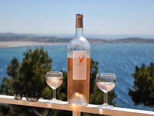 Photo n°1 de LA RENAUDHYERES à Carqueiranne (Piscine extérieure)