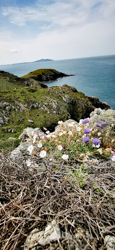 Anglesey AONB - Visual
